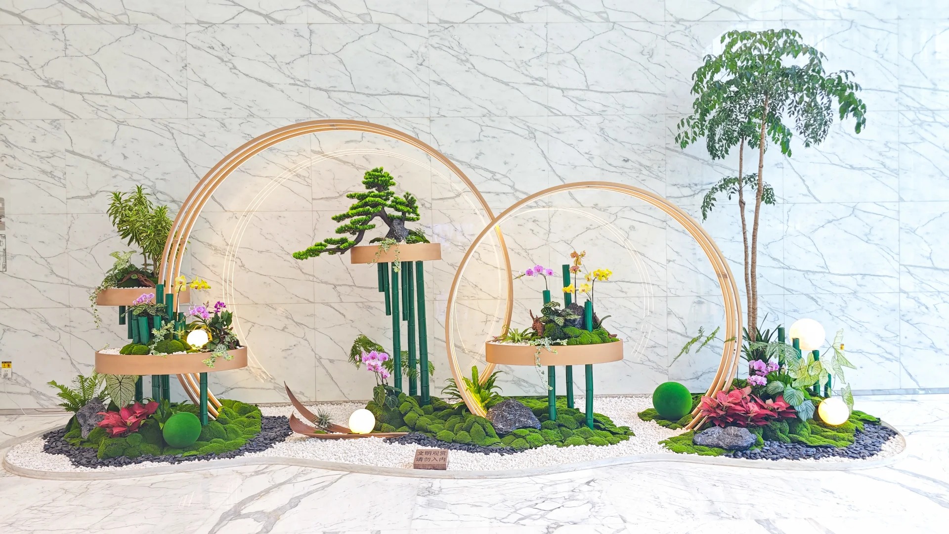 余姚植物租赁公司，为你的空间注入自然活力